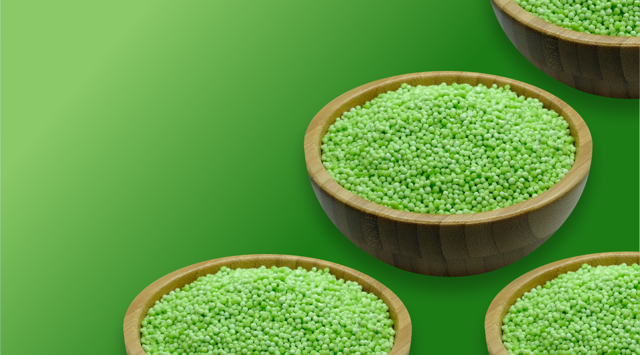 SAGO seeds green 2 MM